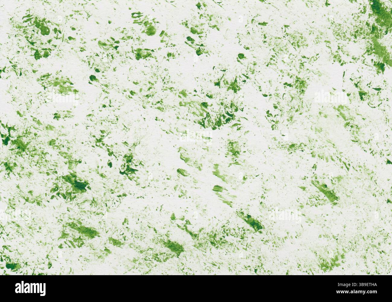 Peinture acrylique en vert herbe tamponnée sur une feuille de papier Banque D'Images