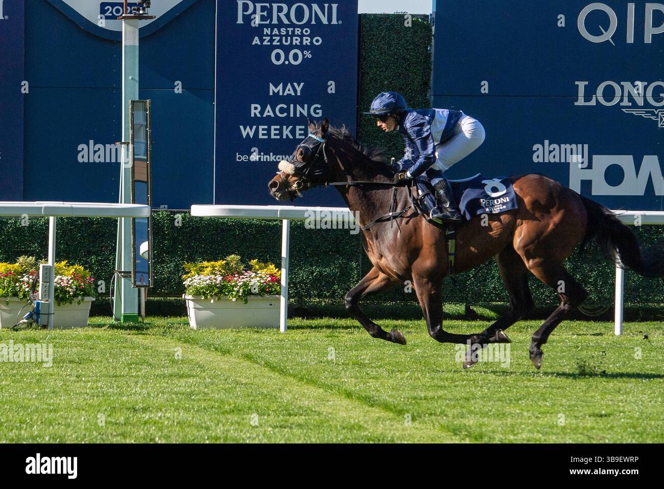Ascot, Royaume-Uni. 9 mai 2025. Horse Toby Tops monté par le jockey Morgan Cole remporte le Peroni Nastro Azzurro 0,0% Apprentice handicap Stakes, Class 4, GBBPlus Race à Ascot Racecourse dans le Berkshire au Peroni Nastro Azzurro 0,0% Friday Raceday. Propriétaire M. Paul Goonan, entraîneur Dylan Cunha, Newmarket, éleveur Curie Monceaux/Rifa Mustang. Crédit : Maureen McLean/Alamy Live News Banque D'Images