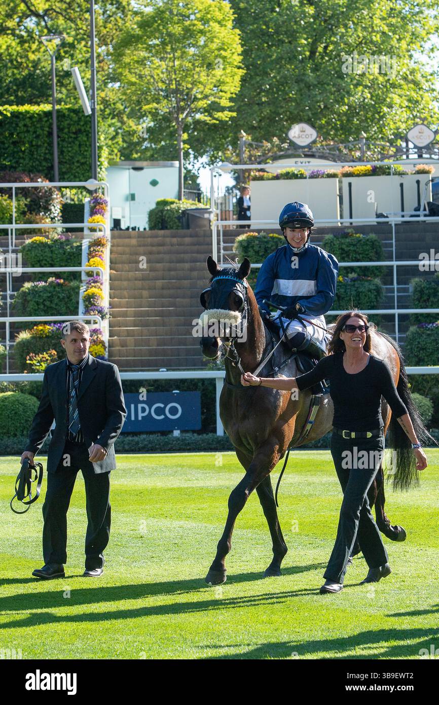 Ascot, Royaume-Uni. 9 mai 2025. Horse Toby Tops monté par le jockey Morgan Cole remporte le Peroni Nastro Azzurro 0,0% Apprentice handicap Stakes, Class 4, GBBPlus Race à Ascot Racecourse dans le Berkshire au Peroni Nastro Azzurro 0,0% Friday Raceday. Propriétaire M. Paul Goonan, entraîneur Dylan Cunha, Newmarket, éleveur Curie Monceaux/Rifa Mustang. Crédit : Maureen McLean/Alamy Live News Banque D'Images