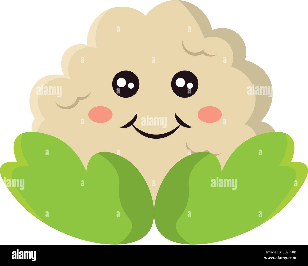 Visage heureux de chou-fleur. Illustration vectorielle Illustration de Vecteur