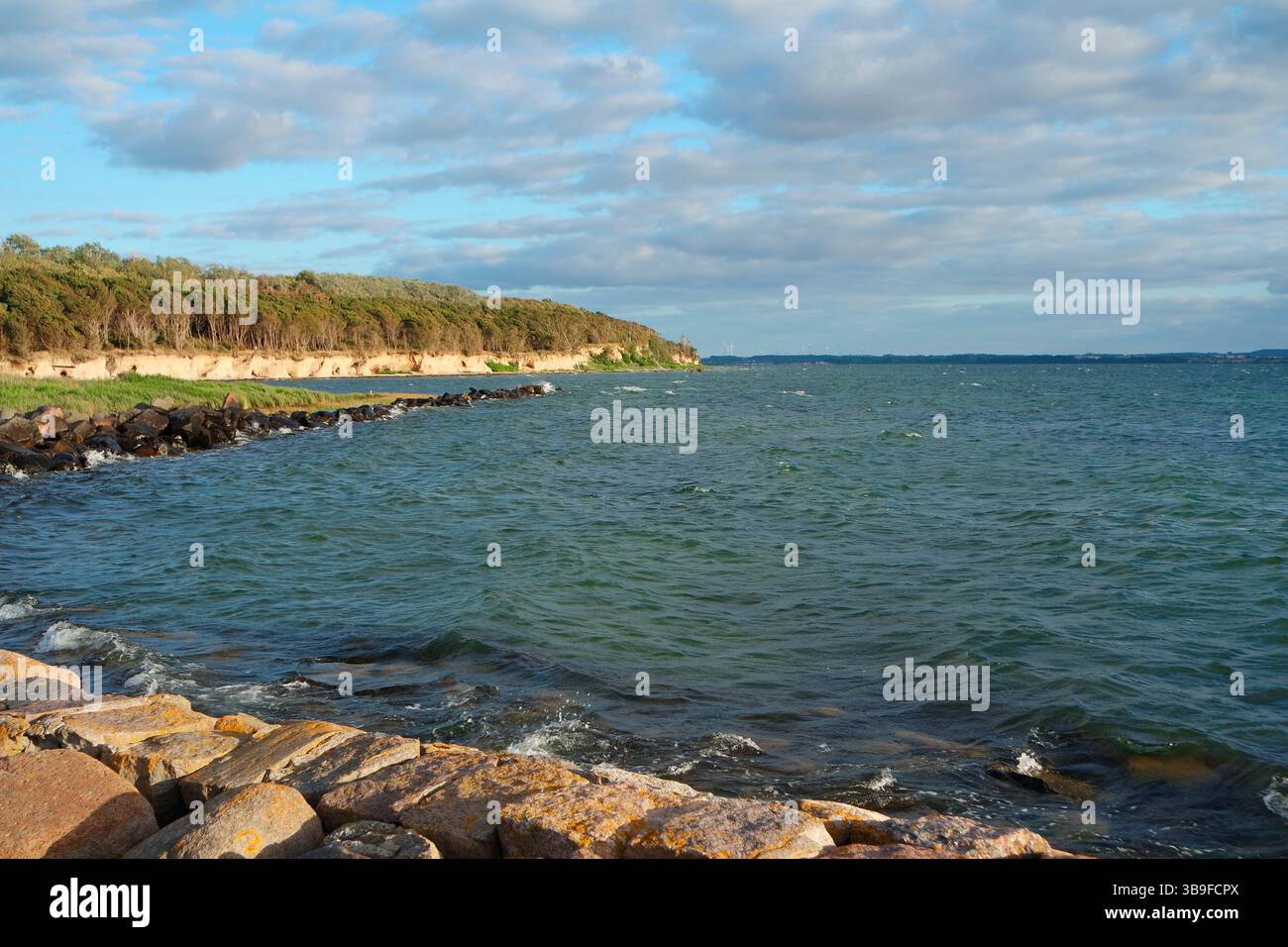 Vue sur la côte escarpée, île de Poel Banque D'Images