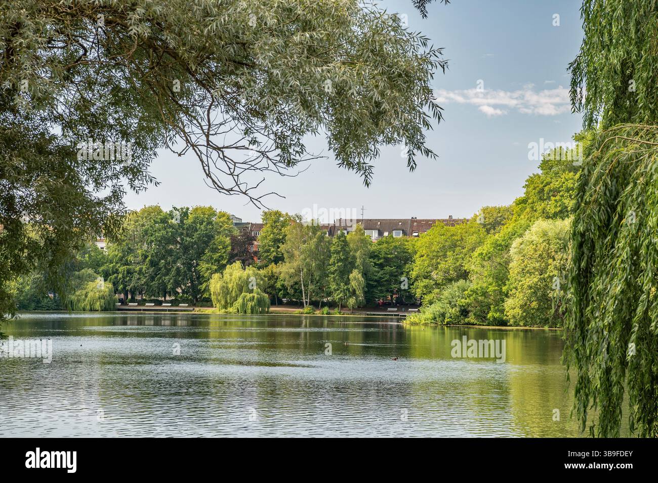 Oasis verte Schrevenpark dans une grande ville Banque D'Images