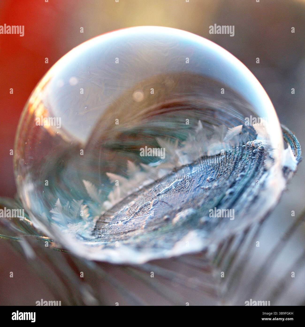 Bulle de savon congelé Banque D'Images