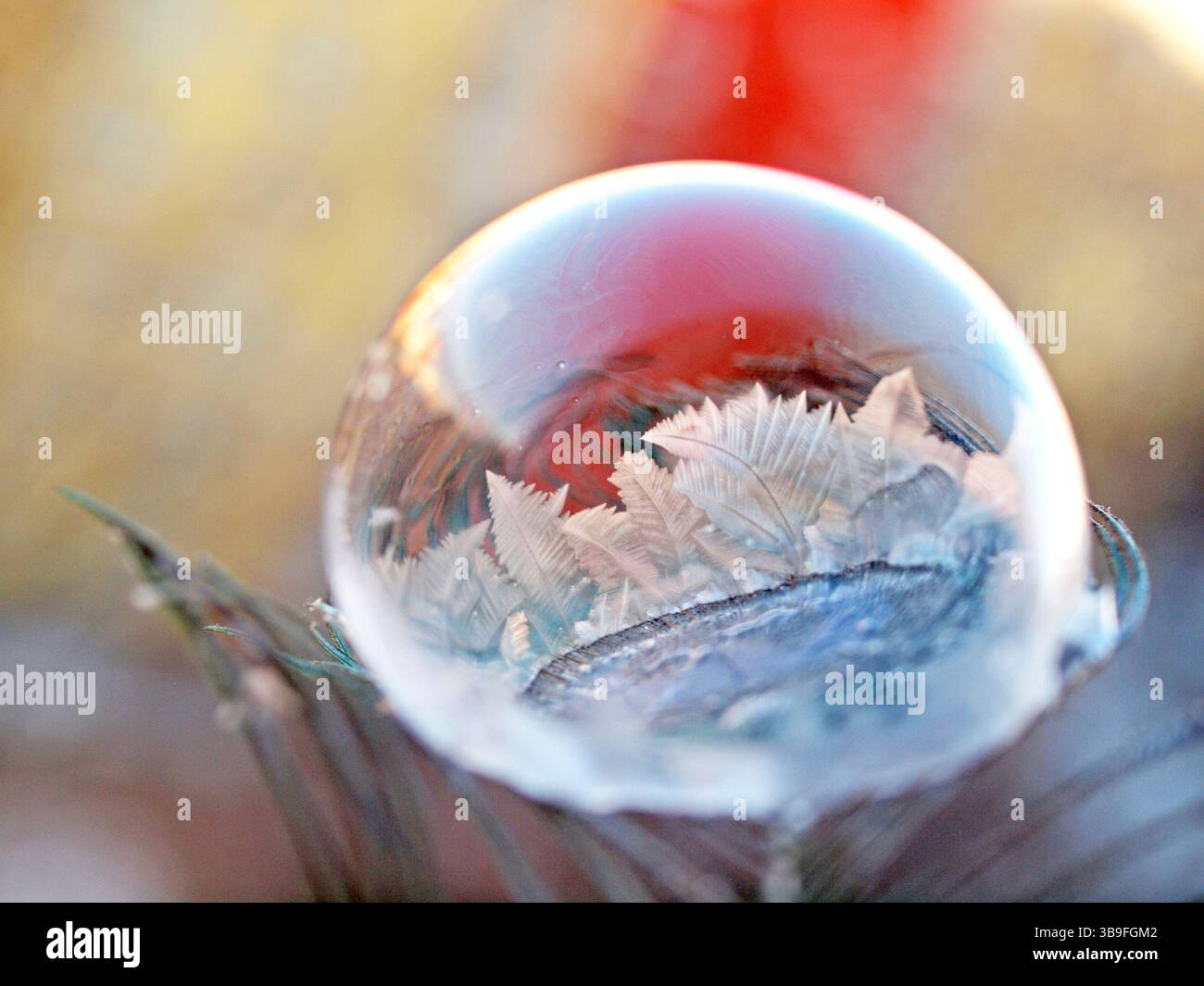 Bulle de savon congelé Banque D'Images