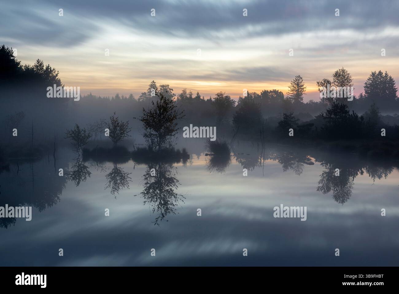 Aube brumeuse dans le Wenger Moor, une haute lande dans la Terre de Salzbourg, Autriche Banque D'Images