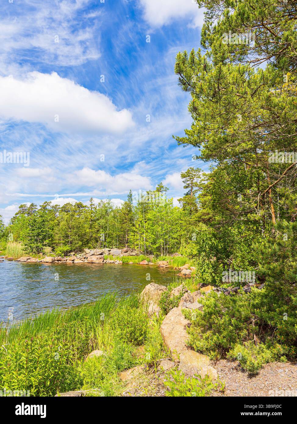 Côte de la mer Baltique avec des rochers et des arbres près de Figeholm en Suède Banque D'Images