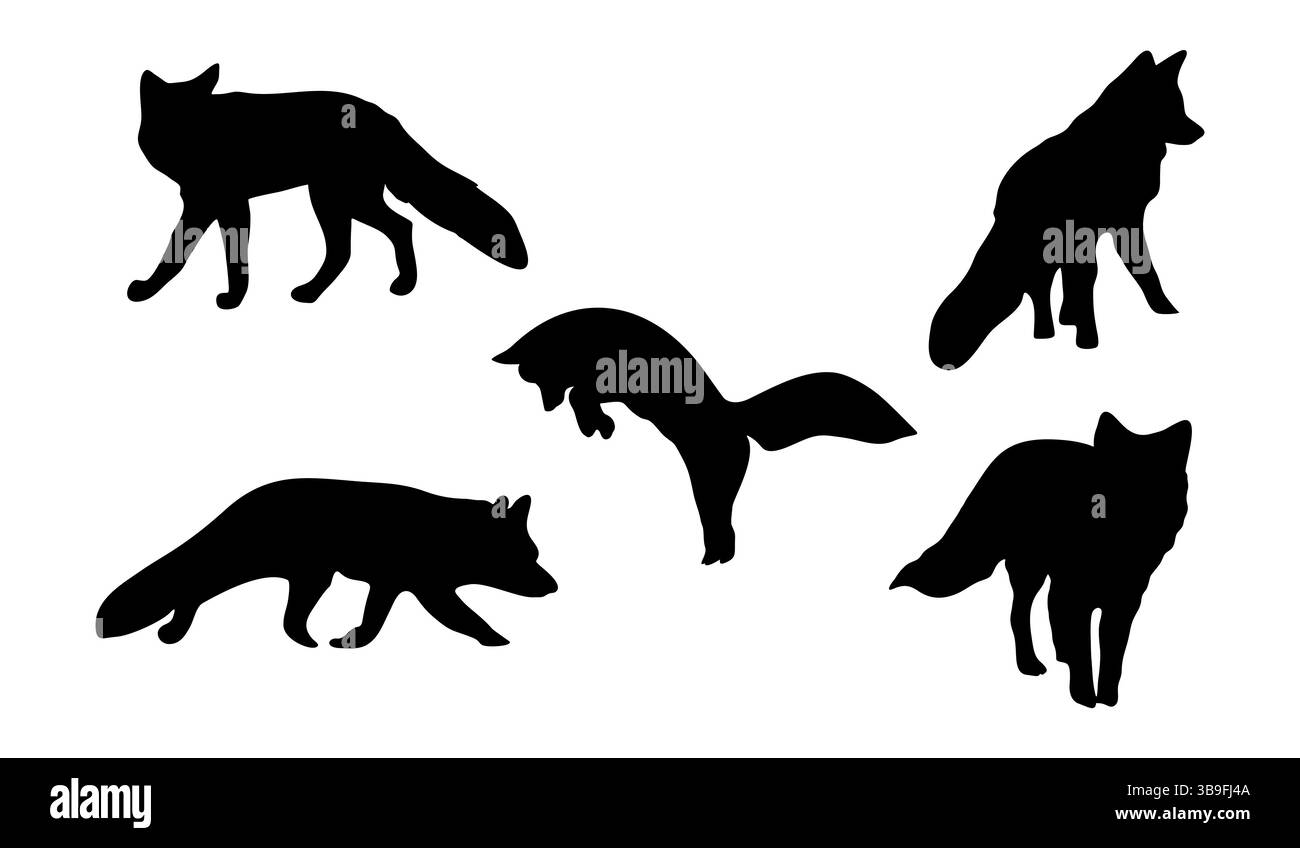 Ensemble de silhouettes d'un renard dans différentes poses. Illustration de Vecteur
