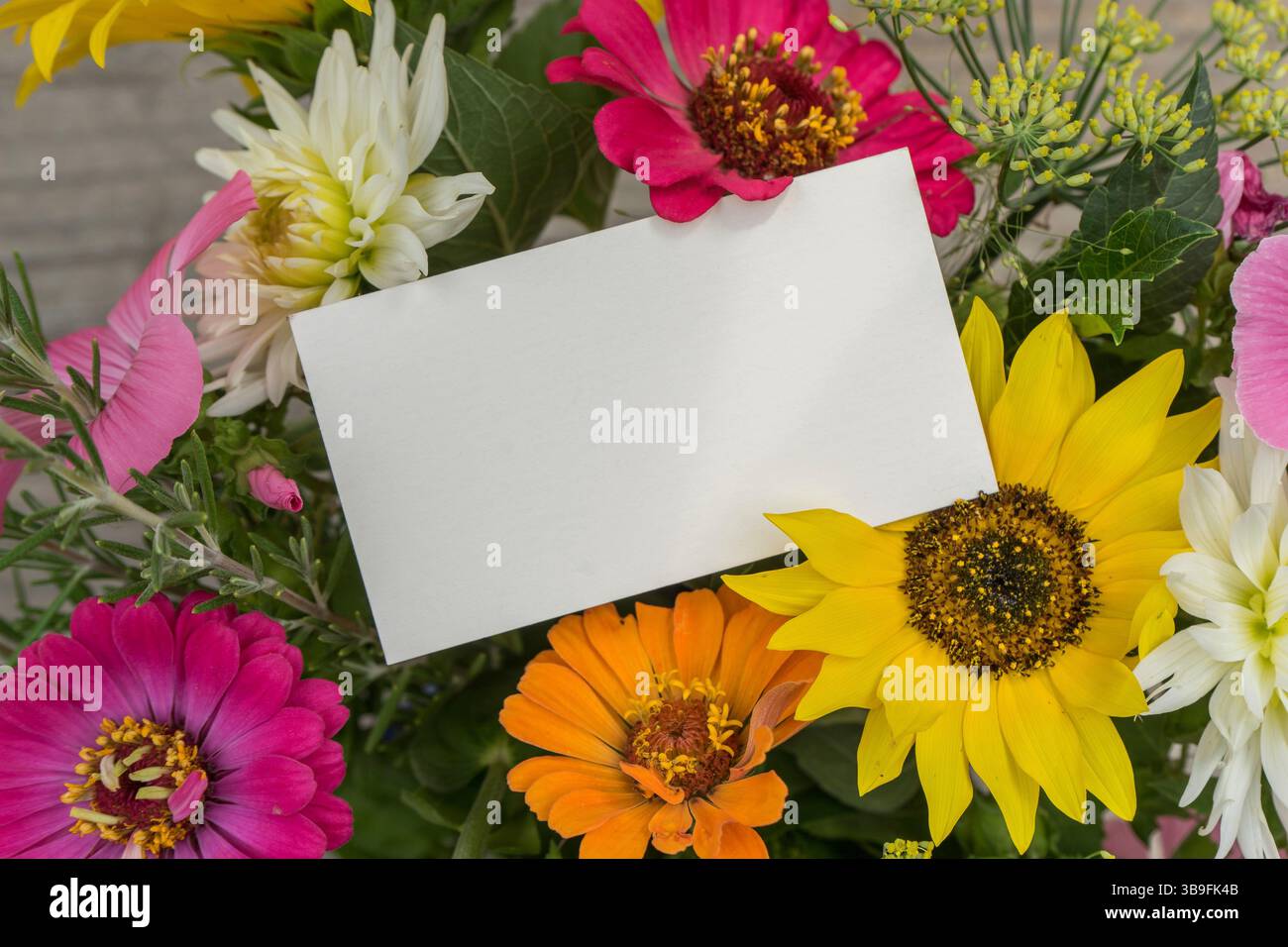 Carte de voeux avec espace texte et fleurs d'été colorées Banque D'Images