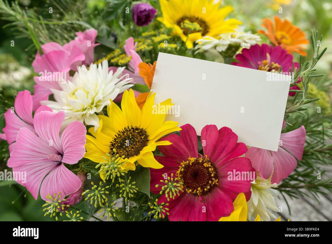 Carte de voeux avec espace texte et fleurs d'été colorées Banque D'Images