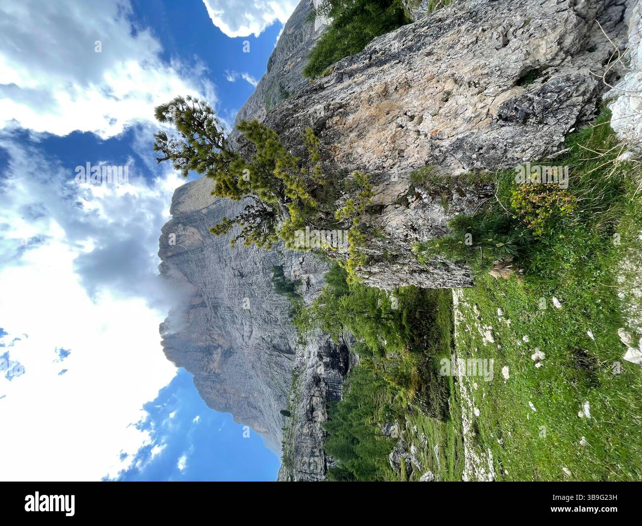 Vue sur le Sassolungo, nature, montagnes, sommets, activité, soleil, nuages, ciel bleu, randonnée, tour de montagne, Val Gardena Dolomites, Val Gardena, Val Gardena Valley, Selva, Santa Cristina, Tyrol du Sud, Italie Banque D'Images