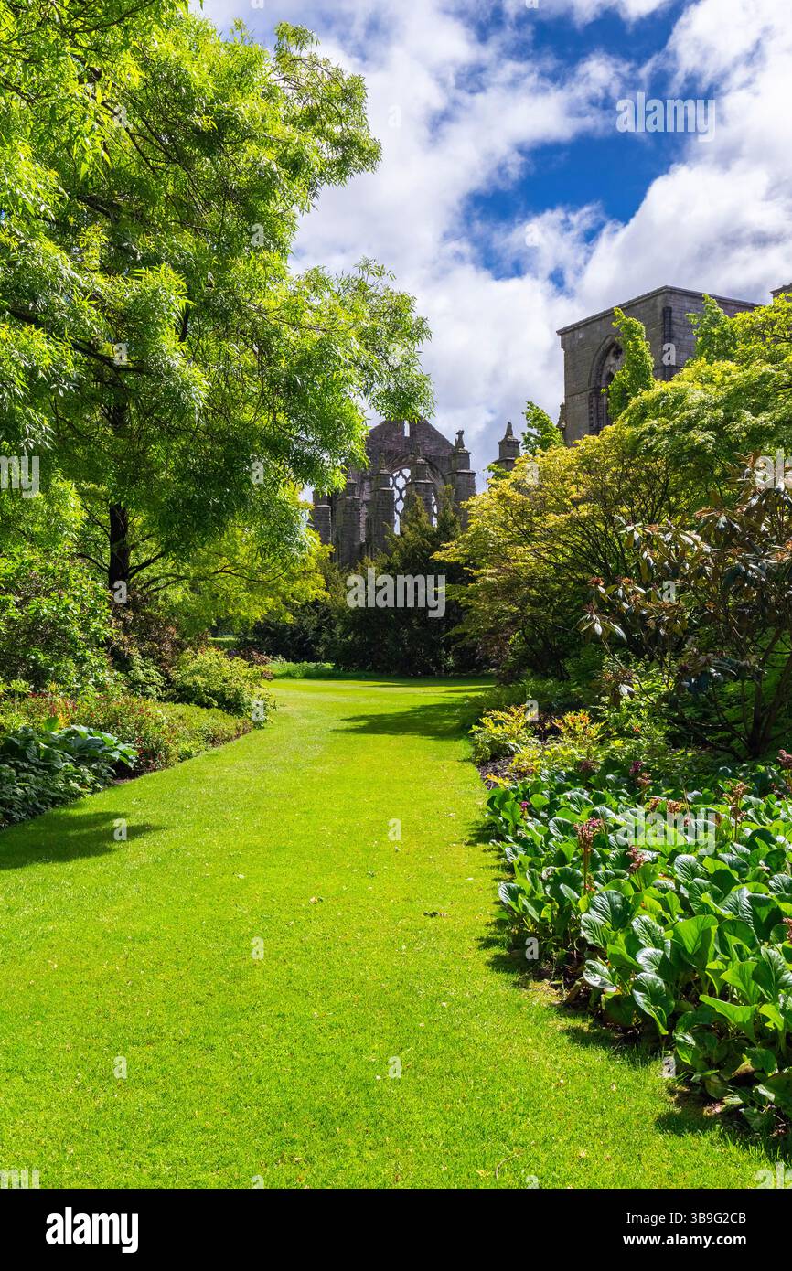 Vue sur l'abbaye de Holyrood dans le centre-ville d'Édimbourg. Édimbourg, Écosse, Royaume-Uni, Europe. Banque D'Images