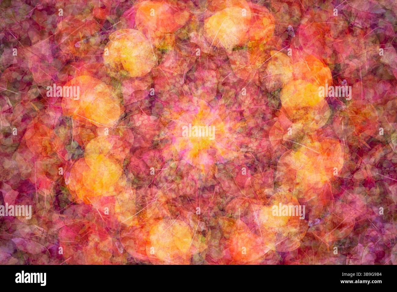 Un collage abstrait vibrant et coloré de feuilles d'automne, avec un riche mélange de teintes rouges, oranges et jaunes. Idéal pour les saisons et sur le thème de la nature Banque D'Images