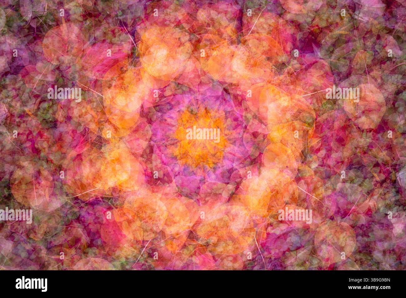 Un collage visuellement captivant de feuilles d'automne, mettant en valeur des teintes vives de rouge, orange et violet. La conception complexe souligne la beauté de l'automne f Banque D'Images