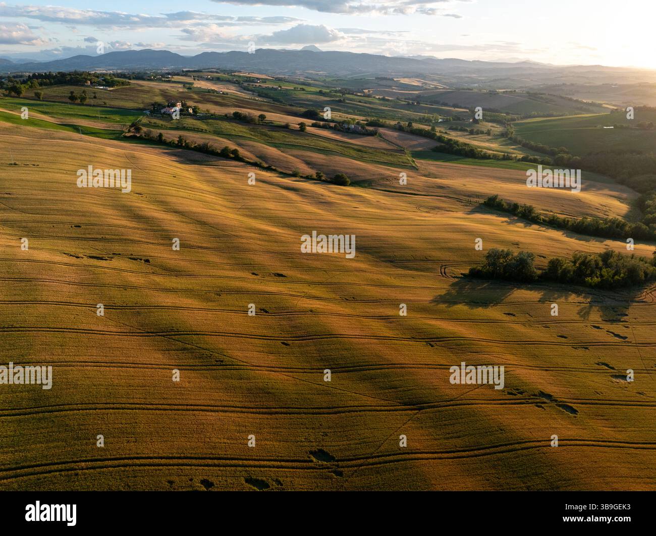 Prise de vue panoramique par drone de champs vallonnés et de collines douces à Macerata, en Italie, baignée par la lumière dorée du soir et entourée par la tranquillité de la campagne Banque D'Images