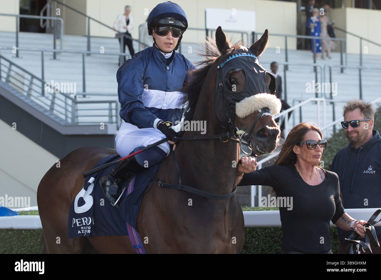 Ascot, Royaume-Uni. 9 mai 2025. Horse Toby Tops monté par le jockey Morgan Cole se dirige sur le circuit avant de remporter le Peroni Nastro Azzurro 0,0% Apprentice handicap Stakes, Class 4, GBBPlus Race à Ascot Racecourse dans le Berkshire au Peroni Nastro Azzurro 0,0% Friday Raceday. Propriétaire M. Paul Goonan, entraîneur Dylan Cunha, Newmarket, éleveur Curie Monceaux/Rifa Mustang. Crédit : Maureen McLean/Alamy Live News Banque D'Images