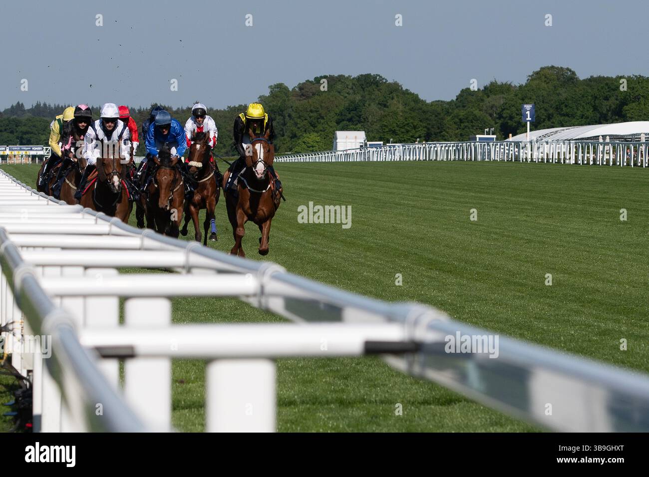 Ascot, Royaume-Uni. 9 mai 2025. Horse Toby Tops monté par le jockey Morgan Cole (soie bleue) dans le premier mile avant de remporter le Peroni Nastro Azzurro 0,0% Apprentice handicap Stakes, Class 4, GBBPlus Race à Ascot Racecourse dans le Berkshire au Peroni Nastro Azzurro 0,0% Friday Raceday. Propriétaire M. Paul Goonan, entraîneur Dylan Cunha, Newmarket, éleveur Curie Monceaux/Rifa Mustang. Crédit : Maureen McLean/Alamy Live News Banque D'Images