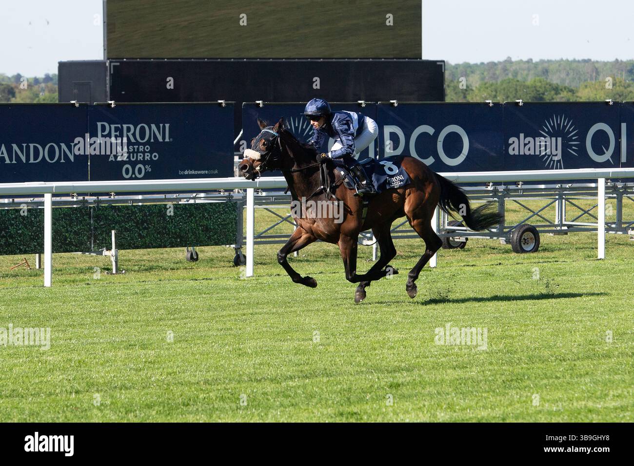 Ascot, Royaume-Uni. 9 mai 2025. Horse Toby Tops monté par le jockey Morgan Cole remporte le Peroni Nastro Azzurro 0,0% Apprentice handicap Stakes, Class 4, GBBPlus Race à Ascot Racecourse dans le Berkshire au Peroni Nastro Azzurro 0,0% Friday Raceday. Propriétaire M. Paul Goonan, entraîneur Dylan Cunha, Newmarket, éleveur Curie Monceaux/Rifa Mustang. Crédit : Maureen McLean/Alamy Live News Banque D'Images