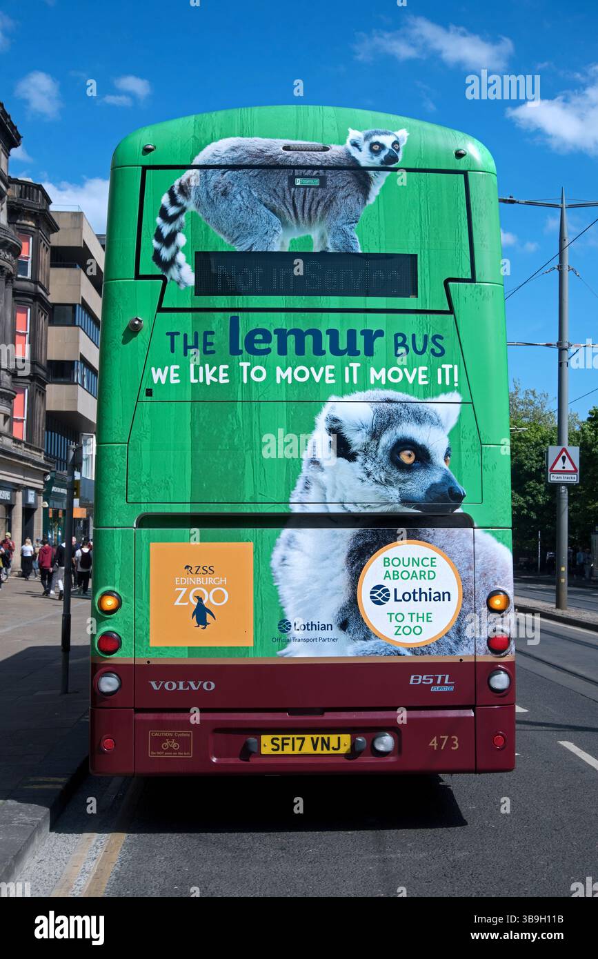 La publicité Lemur bus, Edinburgh Zoo avec des lémuriens à l'arrière d'un bus Lothian sur Princes Street, Édimbourg, Écosse, Royaume-Uni. Banque D'Images