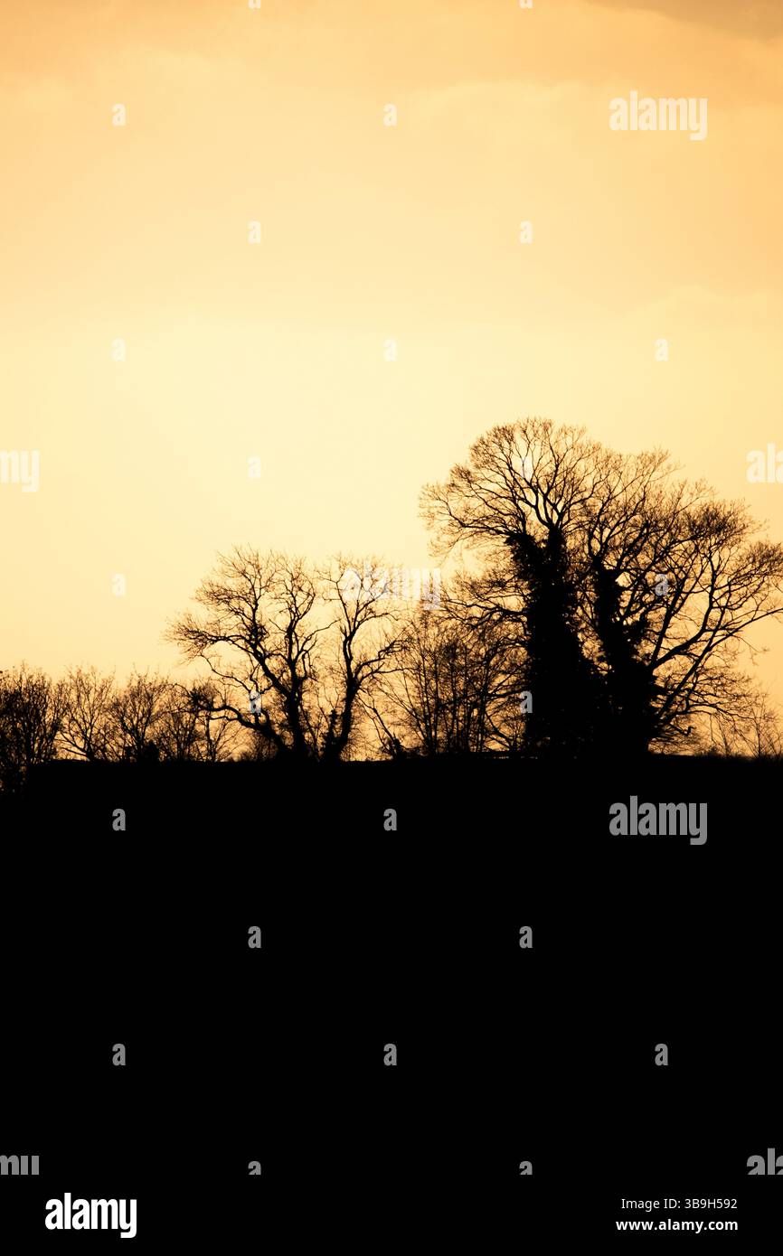 Point de vue et paysage pris dans la soirée au coucher du soleil. Temps froid et neige légère à Schlossblick. Vue sur le château et sur un village en hiver près de Francfort Königstein, Taunus, Hesse, Allemagne Banque D'Images