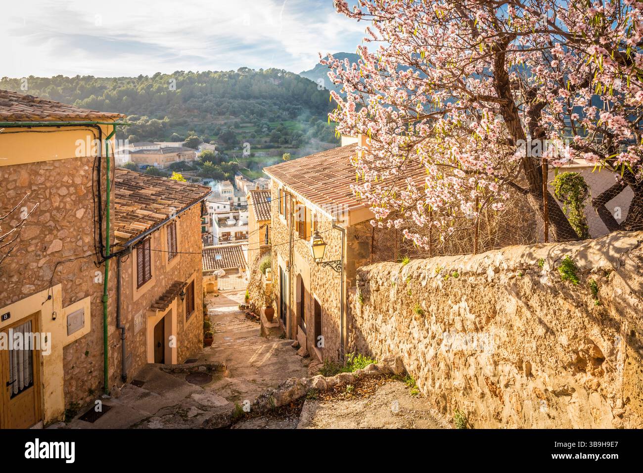 Ruelle dans la vieille ville de Bunyola avec amandiers en fleurs, Majorque, Îles Baléares, Espagne Banque D'Images