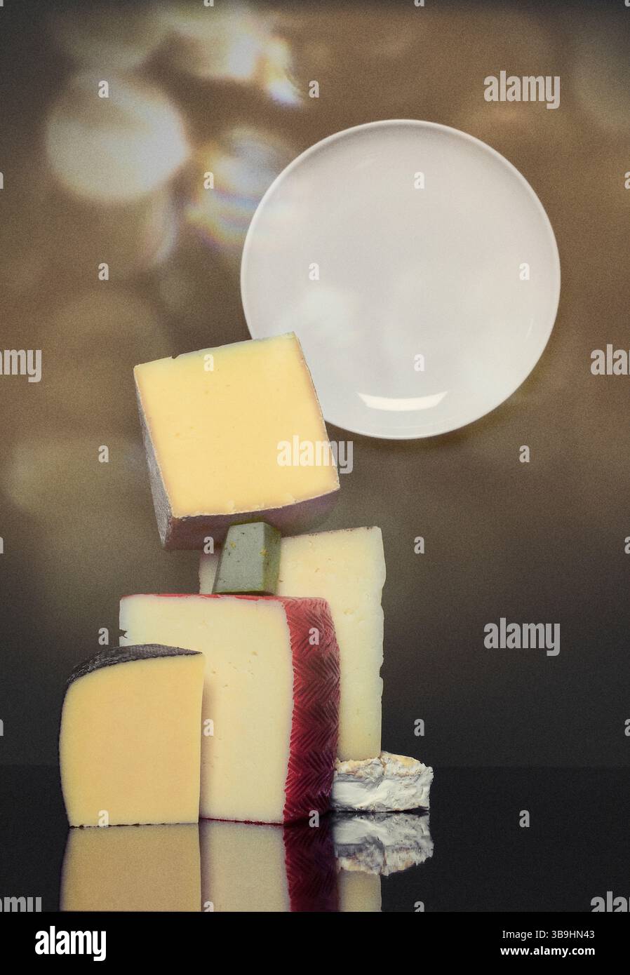 Fromages variés savamment préparés Banque D'Images