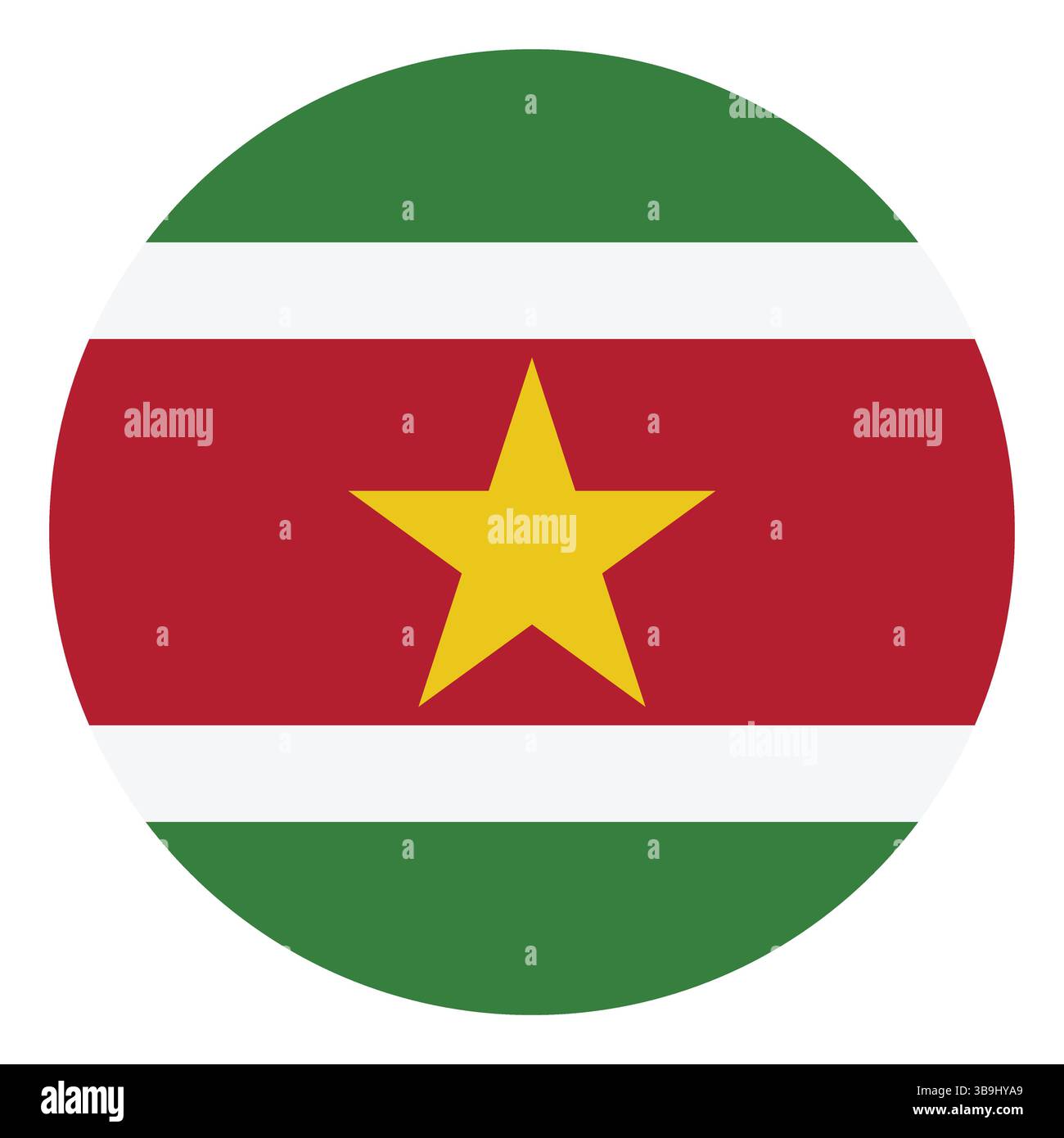 Drapeau du Suriname. Suriname Circle flag logo icône d'illustration vectorielle d'ordinateur. Illustration de Vecteur