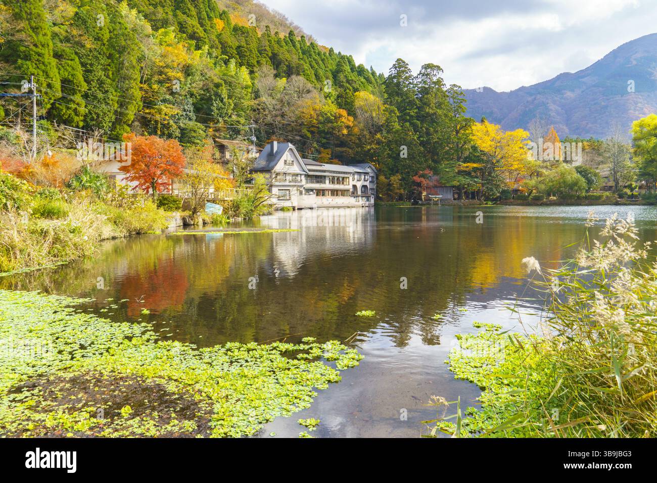 Paysage d'automne du lac Kinrin à Yufuin avec des reflets d'eau Banque D'Images