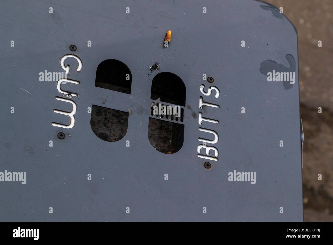 Bac à gencives et fesses. Belfast. Banque D'Images