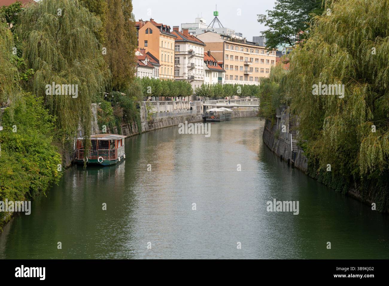 Scène de rivière tranquille avec des bâtiments de la ville et de la verdure dans un cadre urbain à Ljubljana, Slovénie Banque D'Images