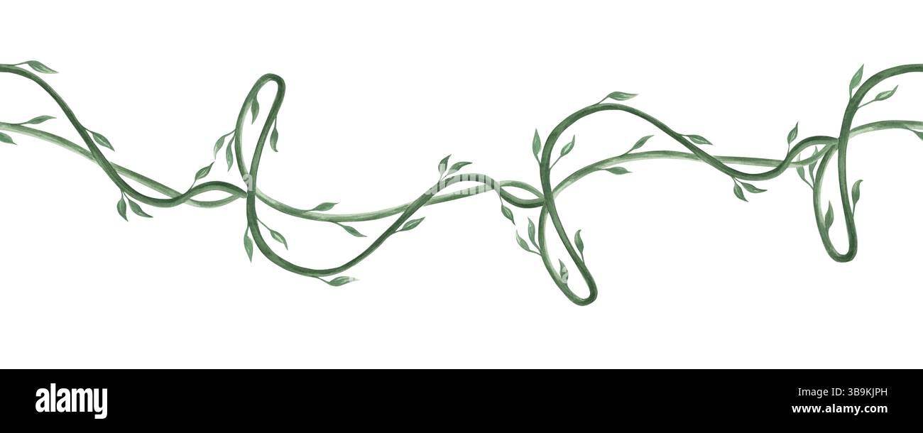 Liane tropicale verte avec feuilles illustration aquarelle isolée. Bordure sans couture de plantes exotiques tropicales pour la conception de jungle de printemps. Dessiné à la main Banque D'Images