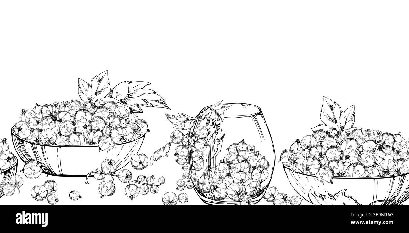 Groseille à maquereau avec des feuilles dans des bols en verre, dessinée à la main dans l'encre vectorielle, récolte de baies cueillies mûres dispersées. Bannière transparente isolée. Café dessert Illustration de Vecteur