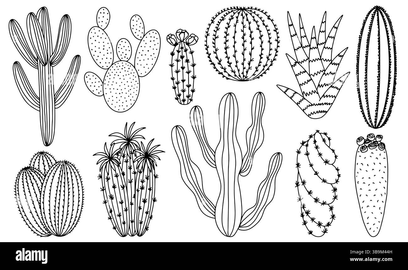Ensemble de vecteurs d'esquisse de cactus et de succulentes Illustration de Vecteur