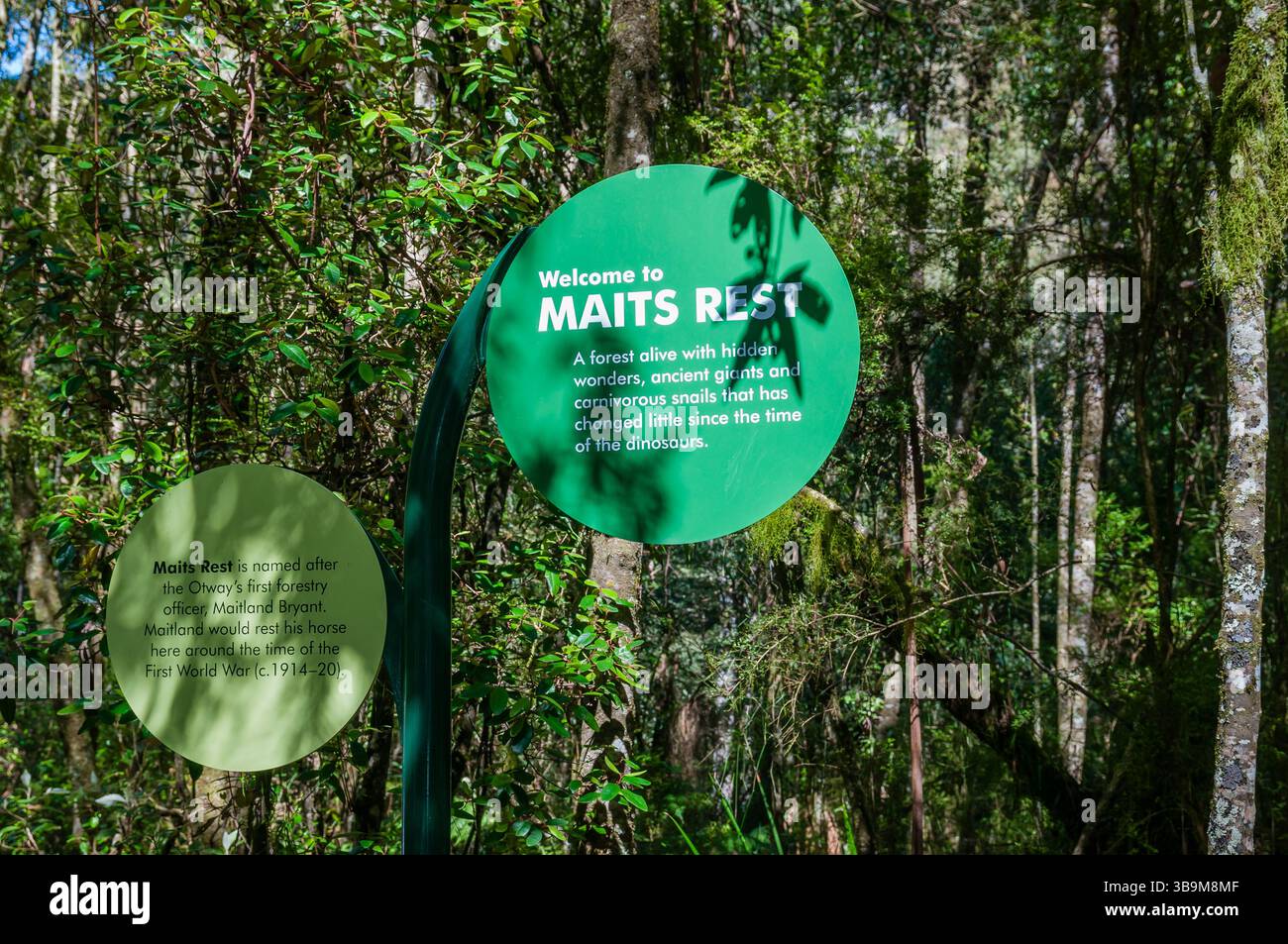 Panneau d'information sur la forêt de Maits Rest, Maits Rest, Australie Banque D'Images