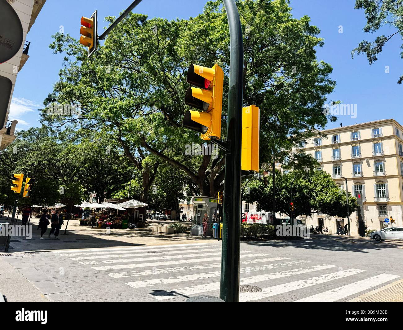 Malaga, Espagne - 02 mai 2025 : scène urbaine avec feux de circulation, arbres et passages piétons à Malaga, Espagne Banque D'Images
