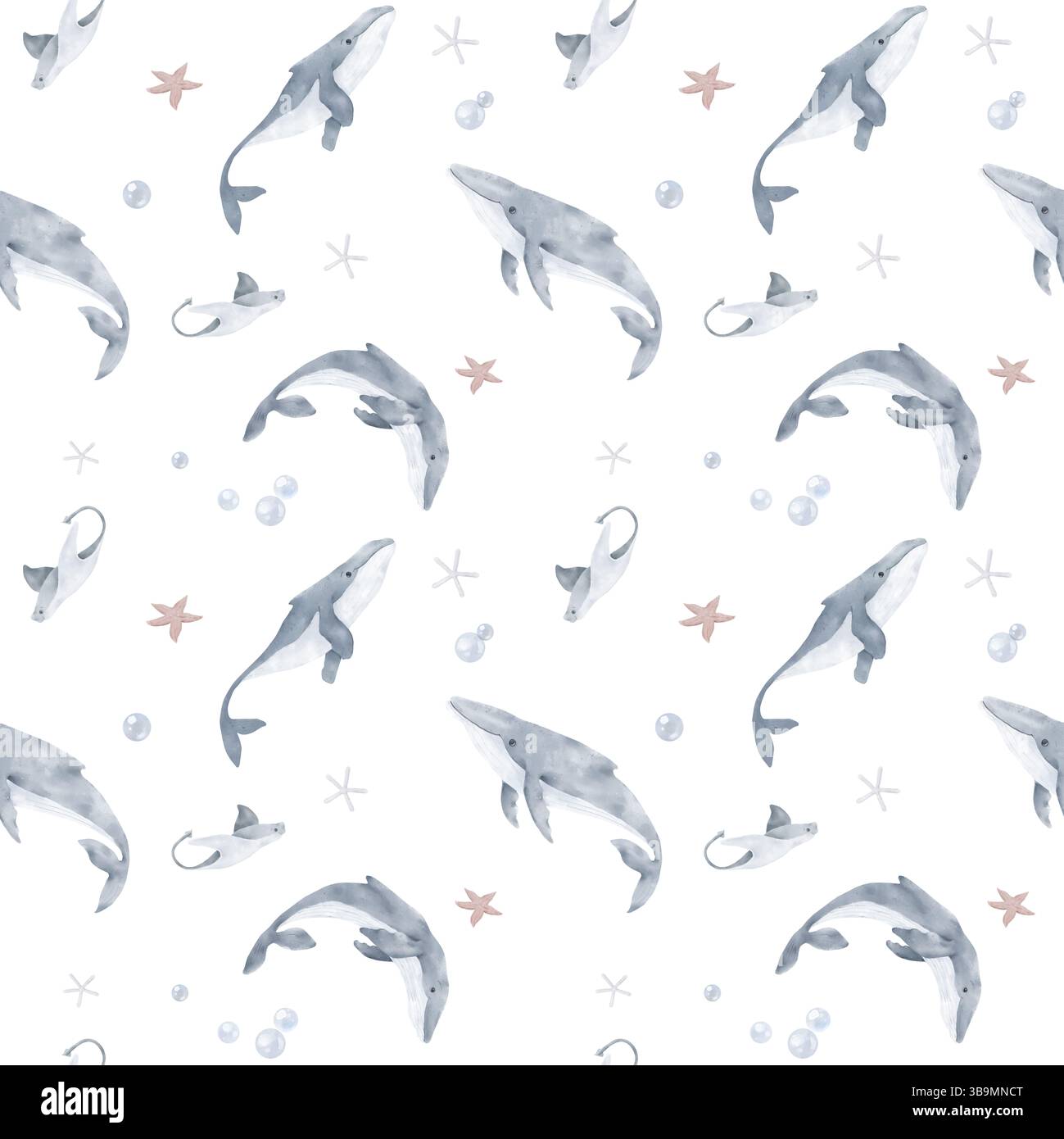 Une baleine à bosse et une raie de mer nagent dans le monde sous-marin de l'océan. Illustration aquarelle. Motif sans couture. Étoiles de mer et algues du Banque D'Images