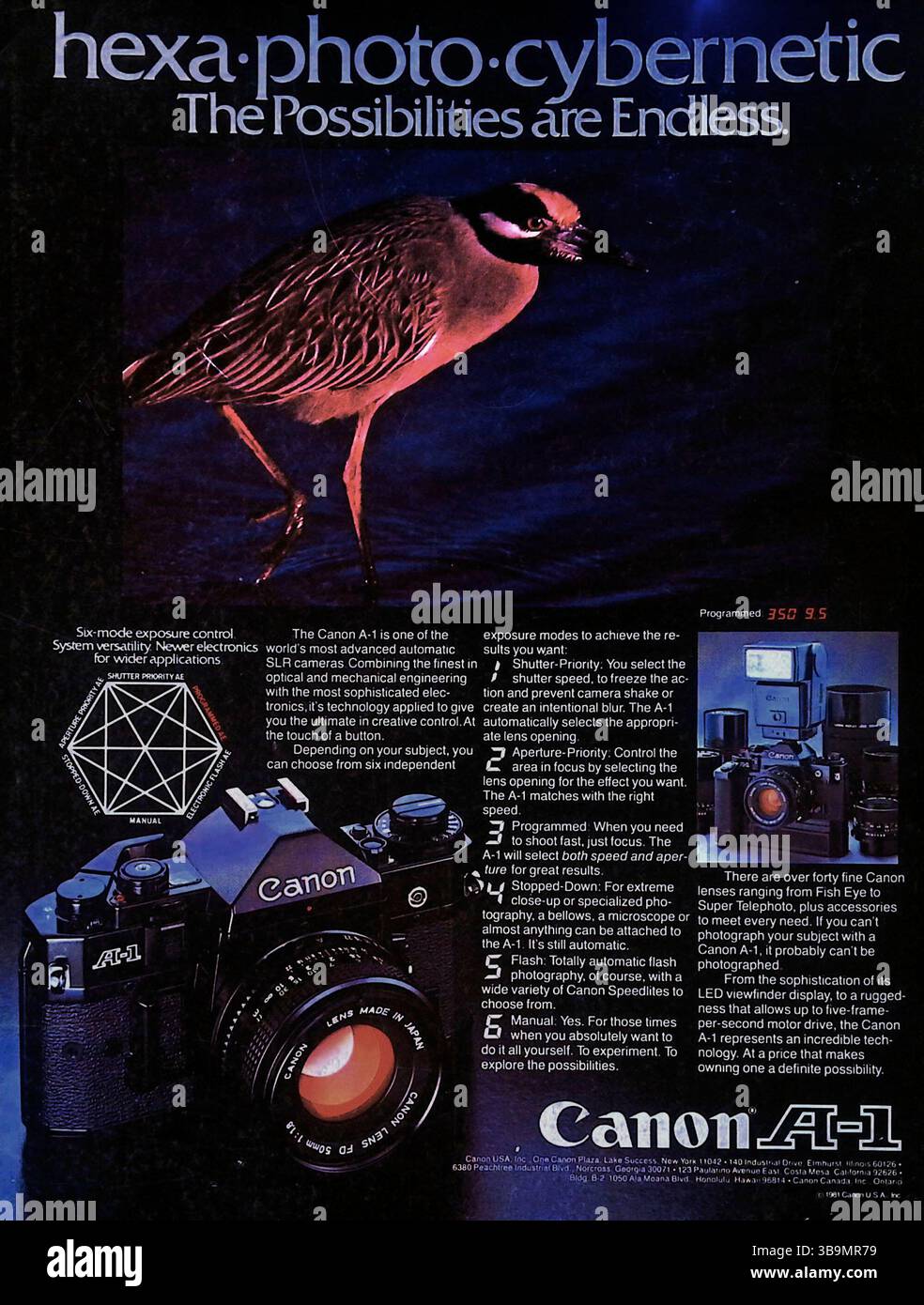 Cette publicité Canon A-1 de 1982 met en avant les six modes d'exposition et les composants électroniques avancés de l'appareil photo, le qualifiant d'outil « hexa-photo-cybernétique » pour un contrôle créatif illimité. Il met en évidence des fonctionnalités clés telles que la priorité à l'obturateur et à l'ouverture, la programmation automatique et les modes flash, ce qui séduira à la fois les professionnels et les passionnés. Une photo d'oiseau audacieuse, un diagramme technique et des photos de produits soulignent sa précision et sa polyvalence. Banque D'Images