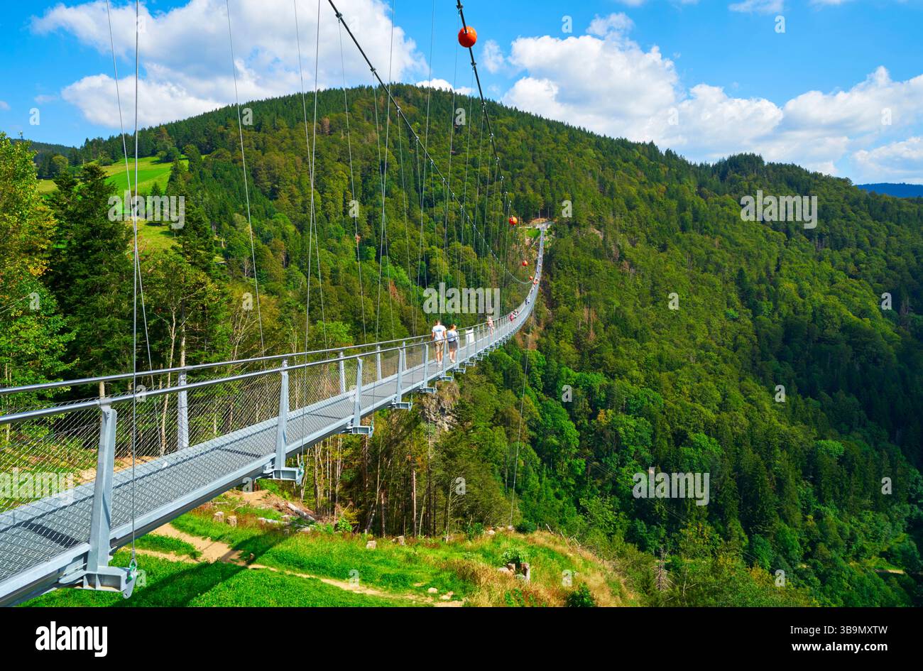 Vue sur le pont suspendu Blackforestline, Allemagne Banque D'Images