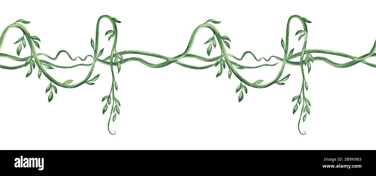Liane tropicale verte avec feuilles illustration aquarelle isolée. Bordure sans couture de plantes exotiques tropicales pour la conception de jungle de printemps. Dessiné à la main Banque D'Images