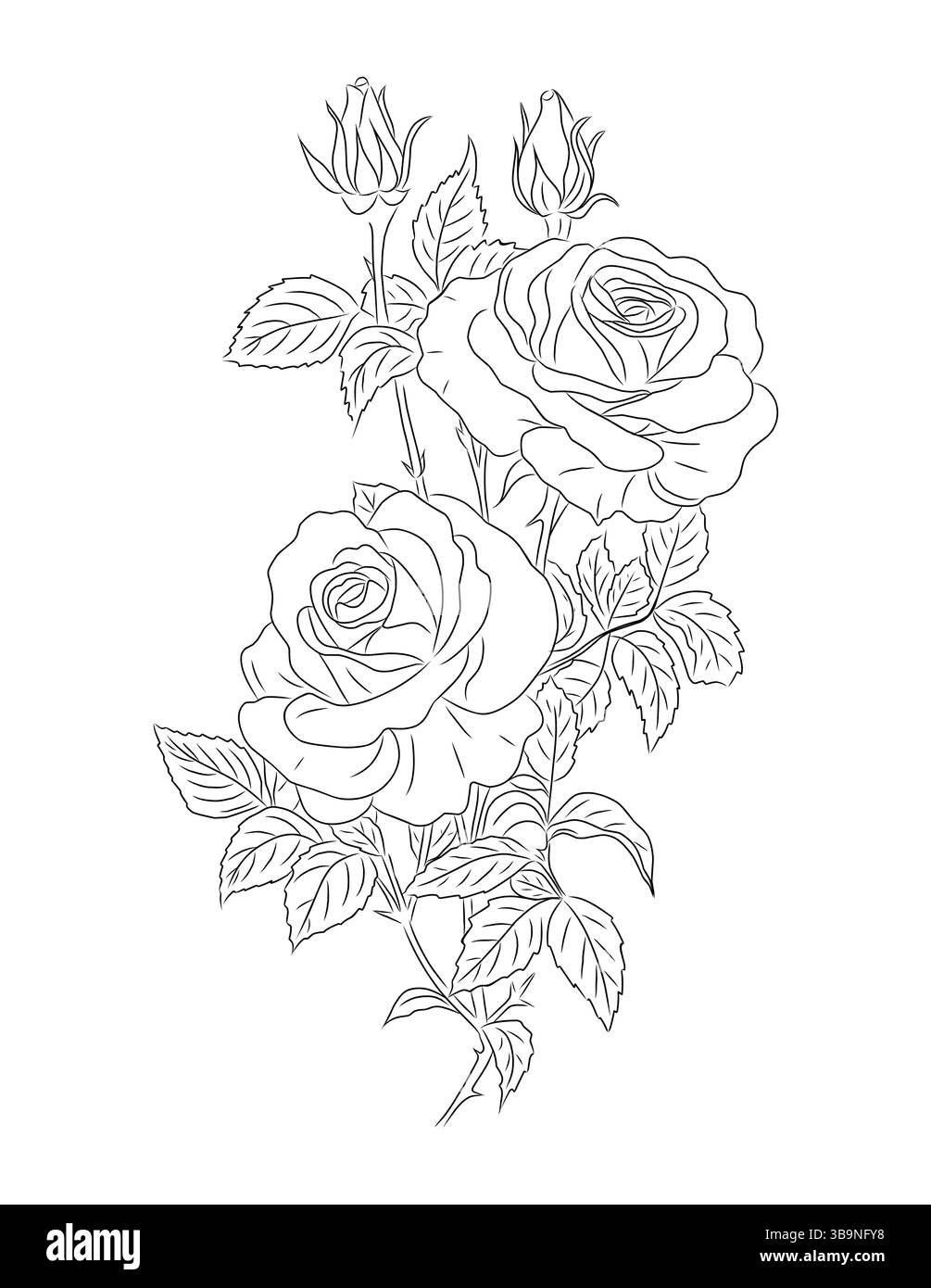 Illustration artistique vectorielle élégante de roses en fleurs Illustration de Vecteur