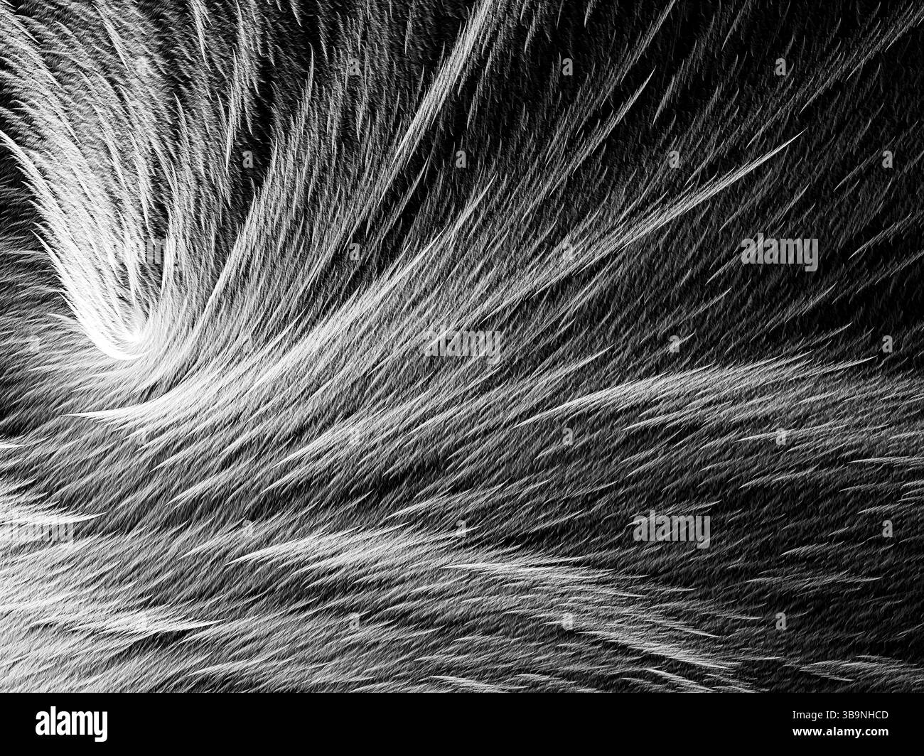 Texture de fourrure ou de plume - image abstraite générée par ordinateur. Géométrie fractale : coups de chaos avec effets de lumière. Fond texturé pour les bannières, web d Banque D'Images