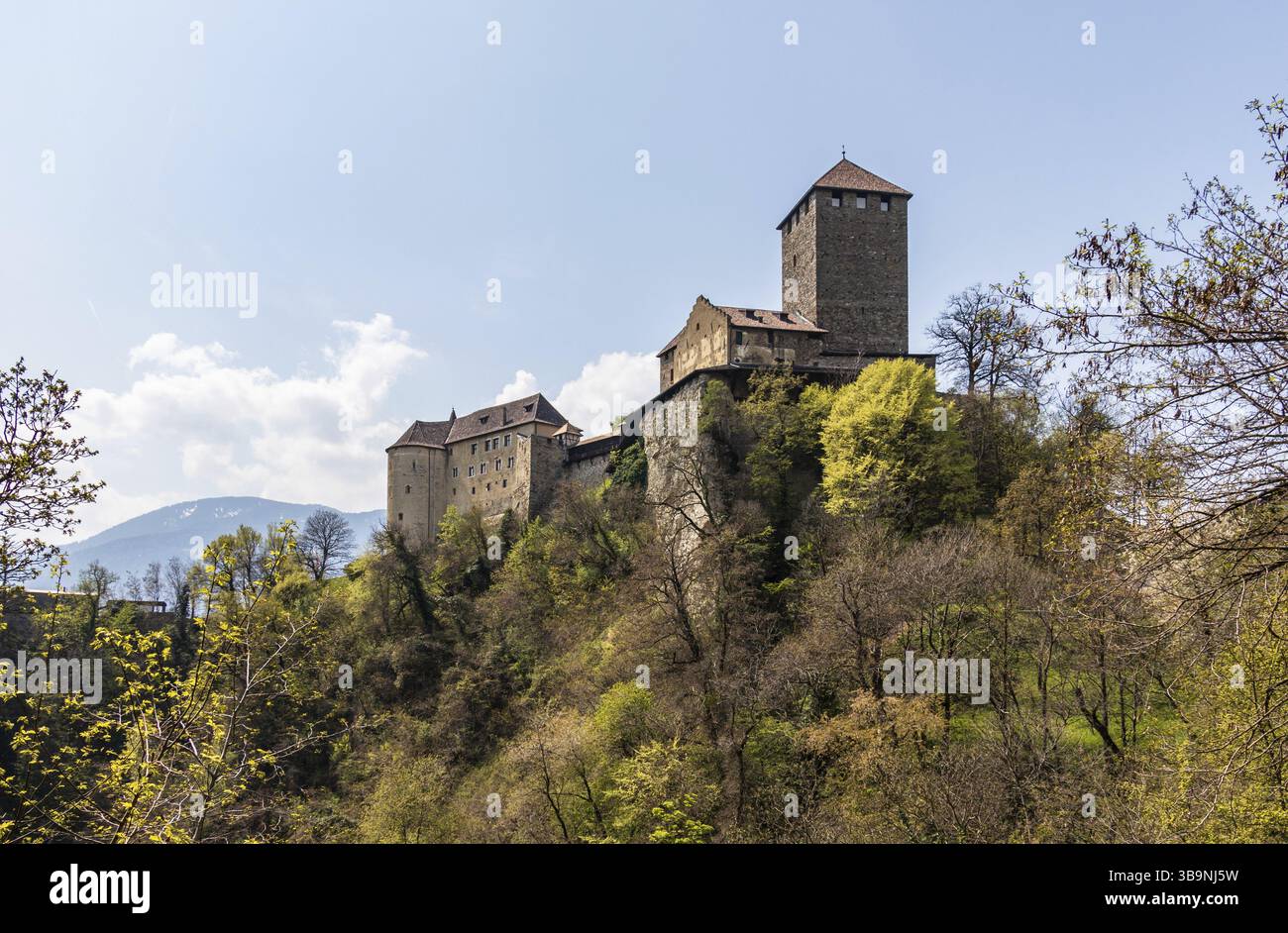 Vue sur le château du Tyrol dans un paysage verdoyant. Village du Tyrol, Province de Bolzano, Tyrol du Sud, Italie, Europe Banque D'Images