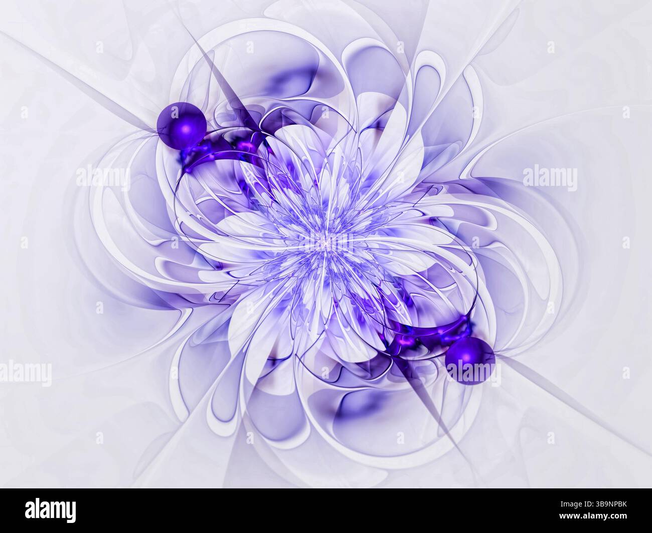 Fleur fractale - image abstraite générée par ordinateur. Art numérique : boucles et courbes comme des pétales futuristes. Fond blanc et bleu pour les cartes, web des Banque D'Images