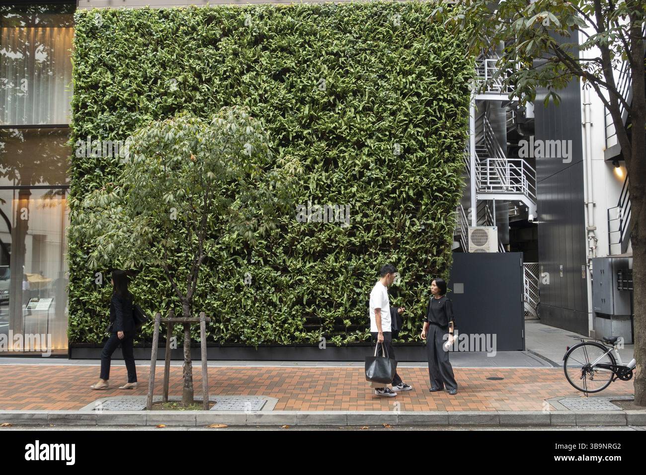 Couple debout sur un sentier devant un mur couvert de plantes grimpantes vertes à Ginza, Tokyo, Japon, Asie Banque D'Images