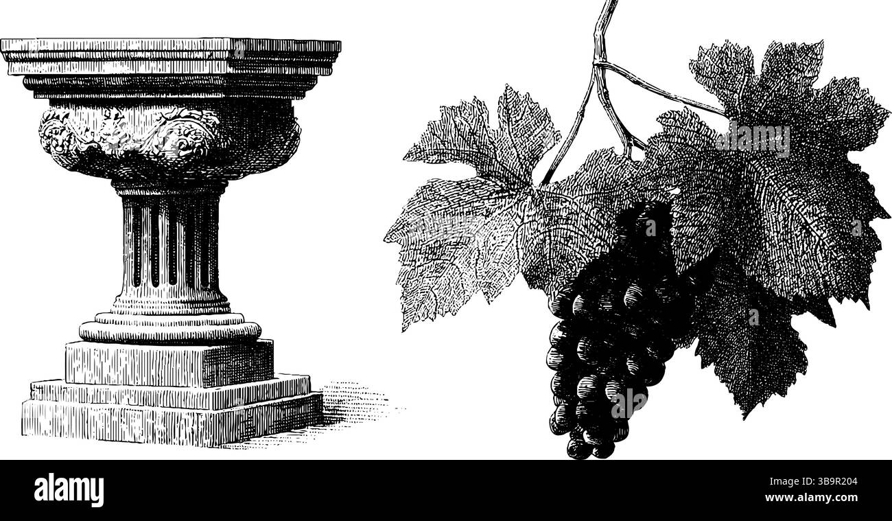 Eléments de villa romaine antique avec colonne corinthienne gravée et illustration de la vigne. Illustration de Vecteur