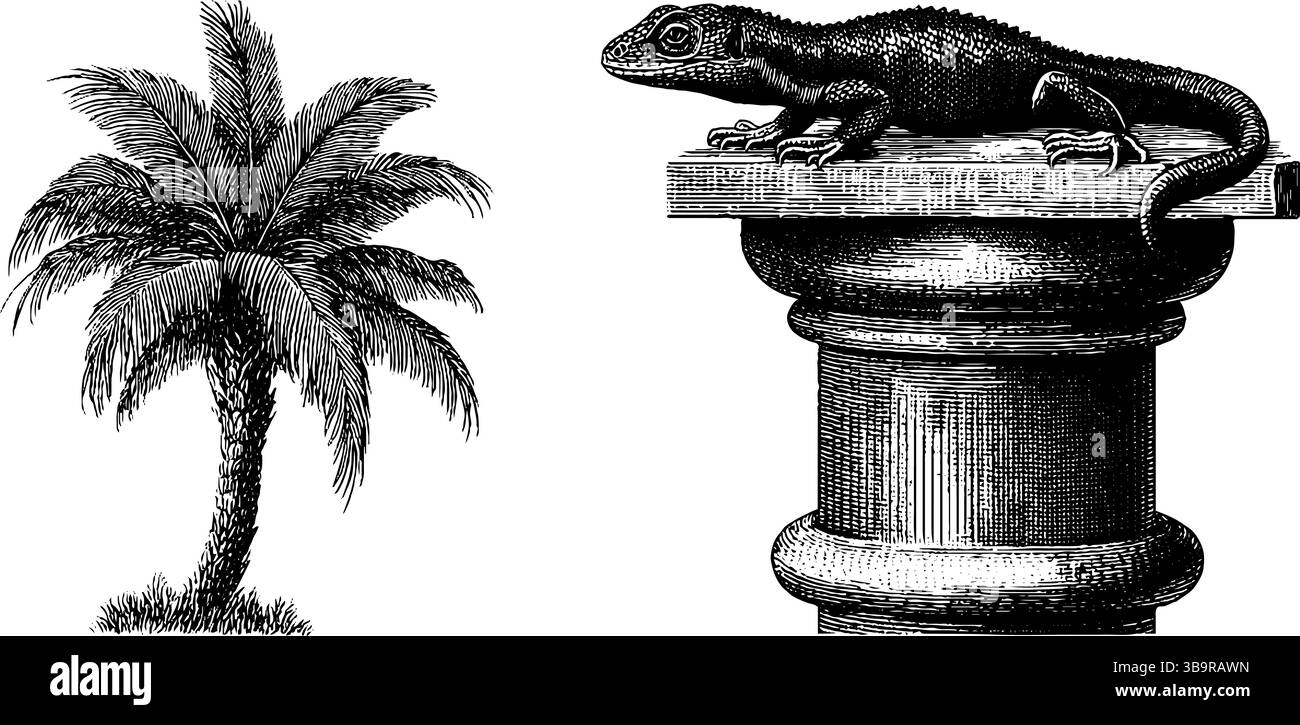 Illustrations gravées détaillées de palmier et colonne de temple avec lézard pour la conception artistique. Illustration de Vecteur