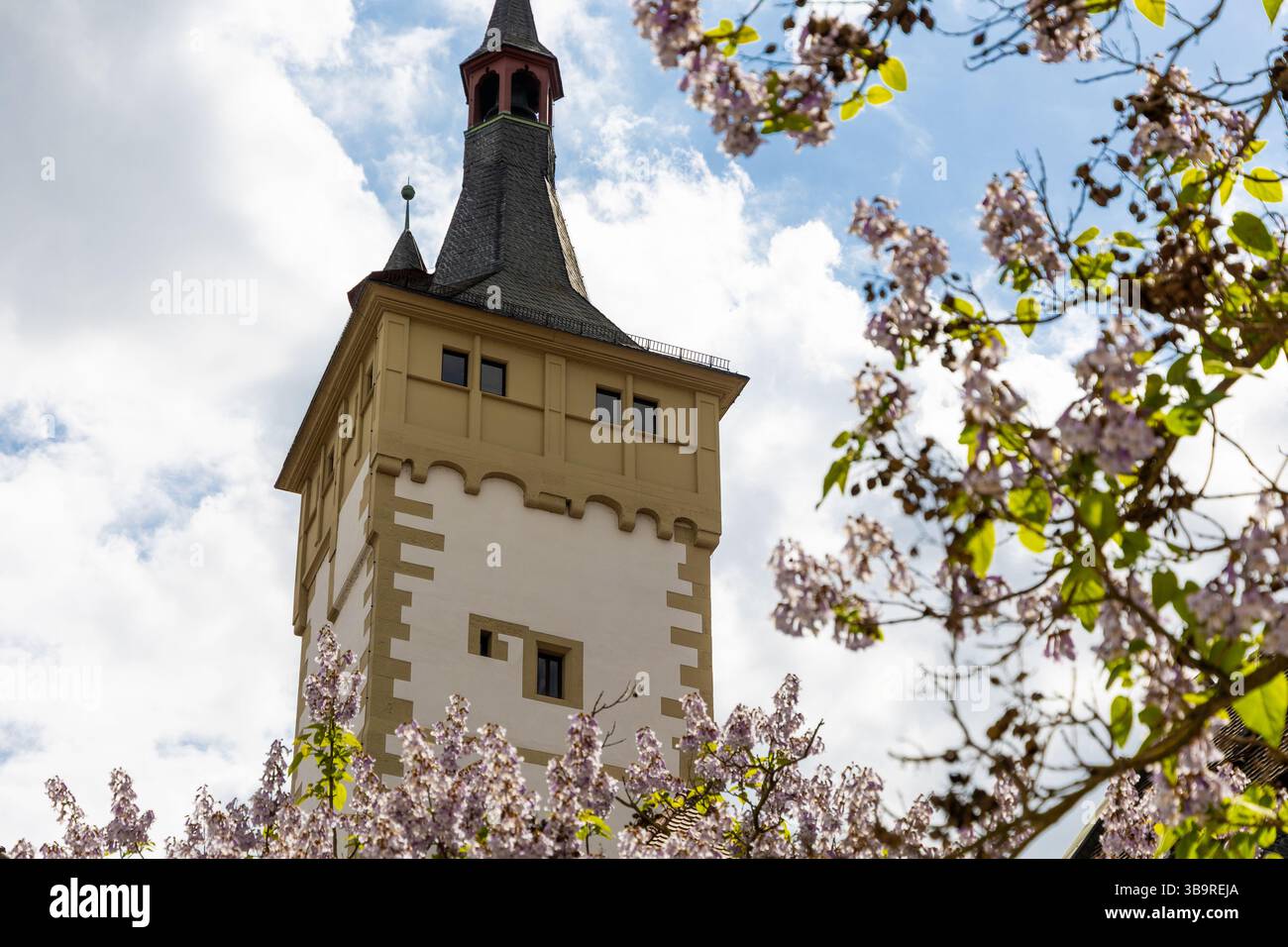 Tour Grafeneckart à Würzburg, Allemagne Banque D'Images