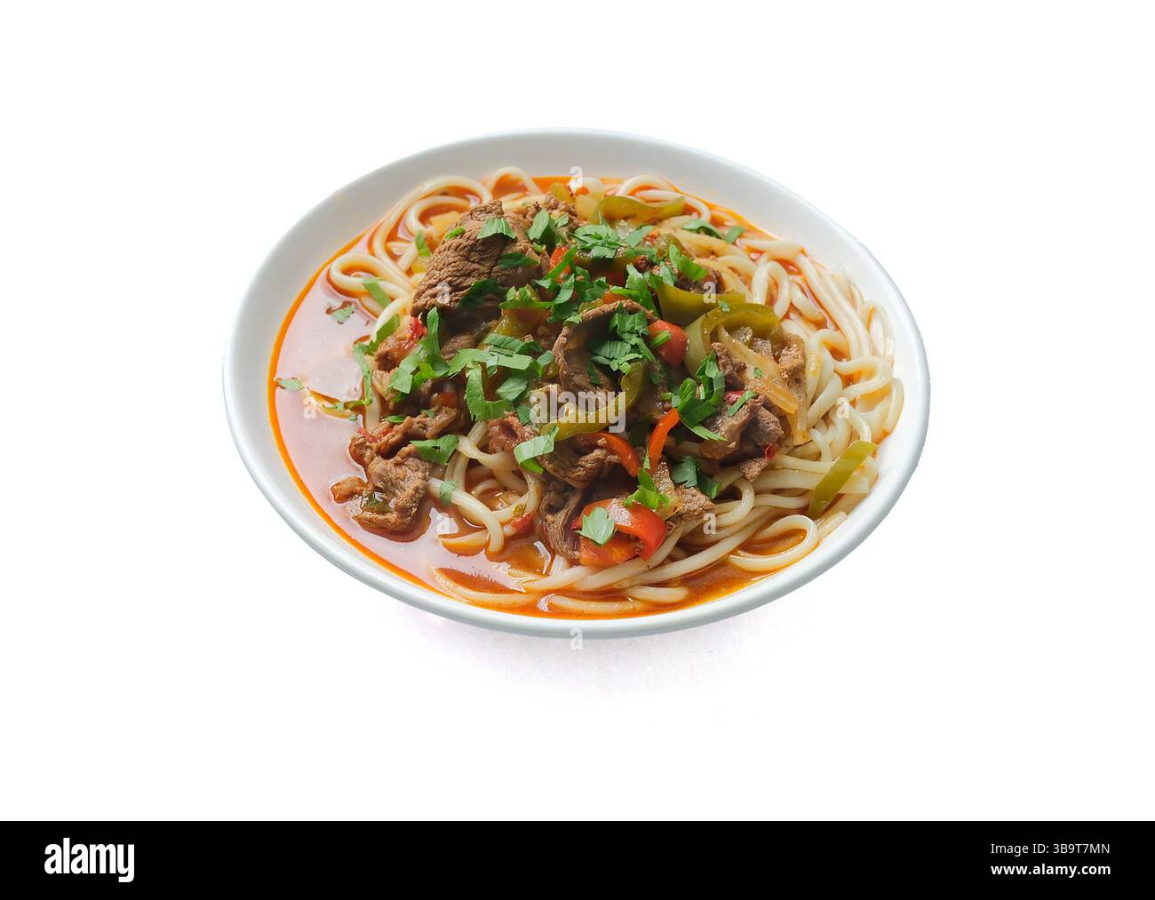 Lagman ouïghour traditionnel avec nouilles tirées à la main, bœuf, légumes et riche bouillon épicé, garni d'herbes fraîches. Banque D'Images