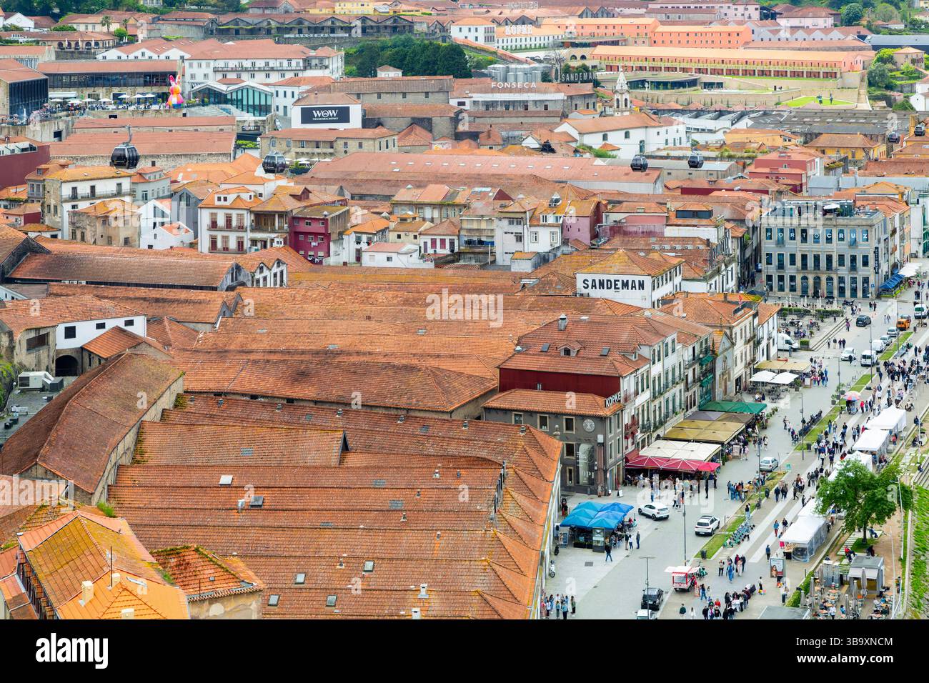 Toits des bâtiments historiques de loges portuaires dans la région de Vila Nova de Gaia, ville de Porto, Portugal, Europe Banque D'Images