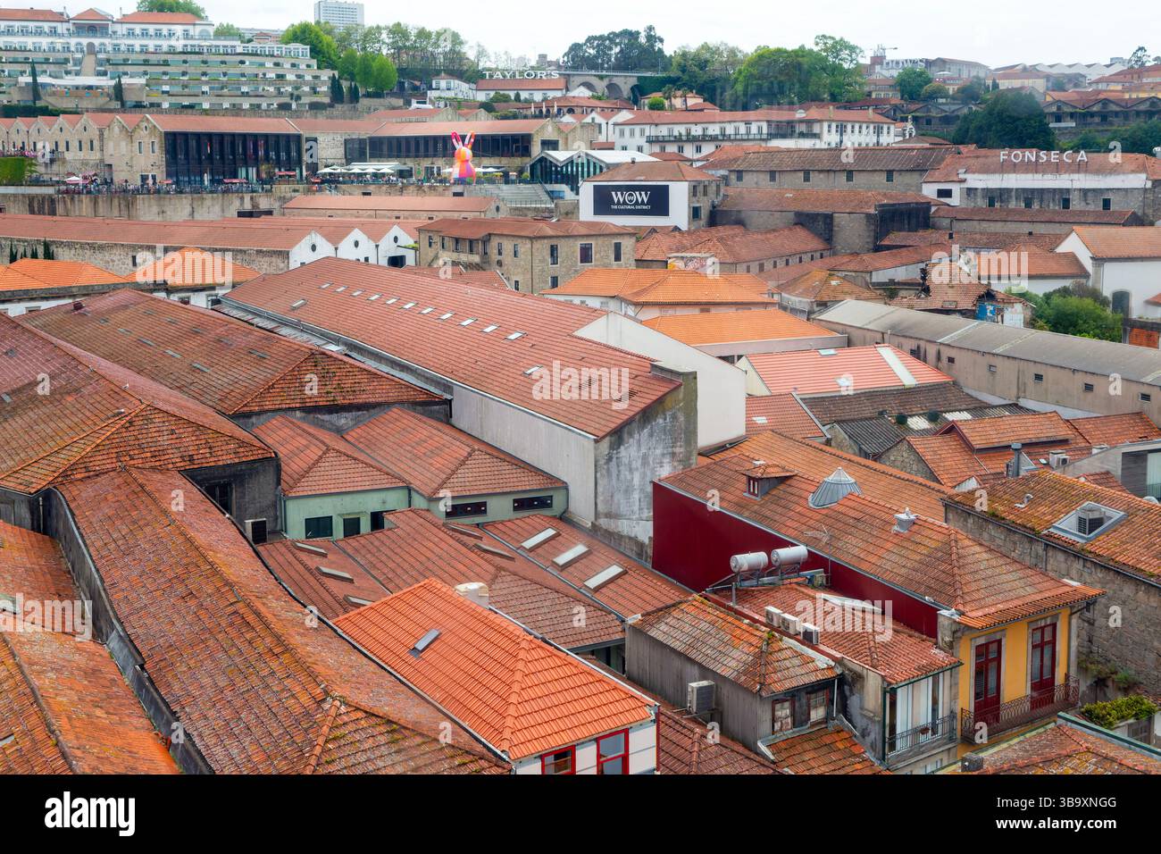 Toits des bâtiments historiques de loges portuaires dans la région de Vila Nova de Gaia, ville de Porto, Portugal, Europe Banque D'Images
