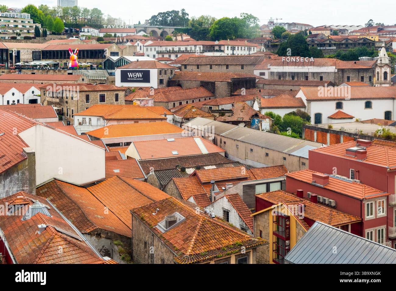 Toits des bâtiments historiques de loges portuaires dans la région de Vila Nova de Gaia, ville de Porto, Portugal, Europe Banque D'Images
